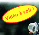 5 bonnes rausons de rejoindre le CFE